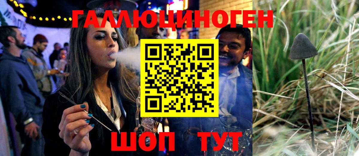 Сальск  Псилоцибиновые грибы Psilocybe  Вход с VPN 